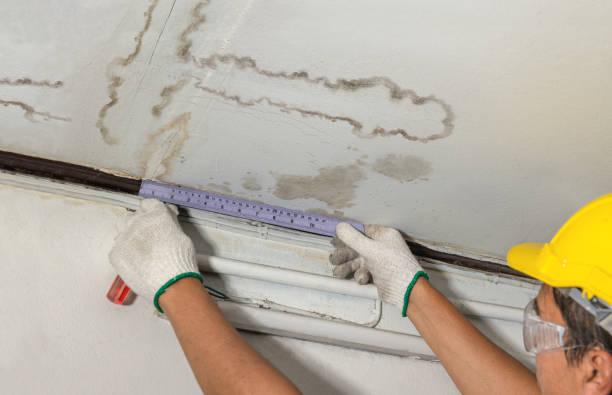 24/7 Emergency Structural Drying experts in Dexter, MI
