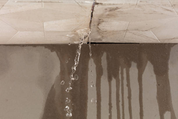 Professional Structural Drying technician working in Dexter, MI